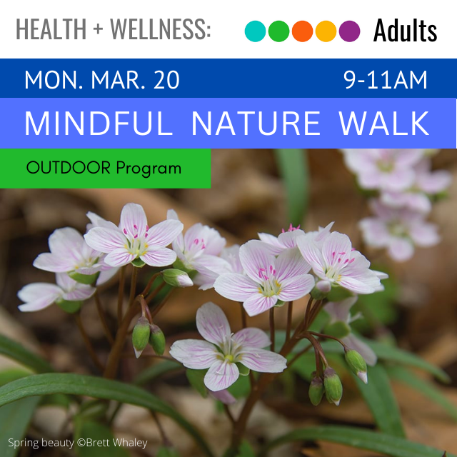image of flowers sprouting from the ground. text above read Mindful Nature Walk
