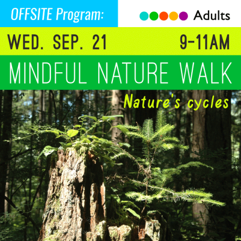 image of trees with text above Mindful Nature Walk