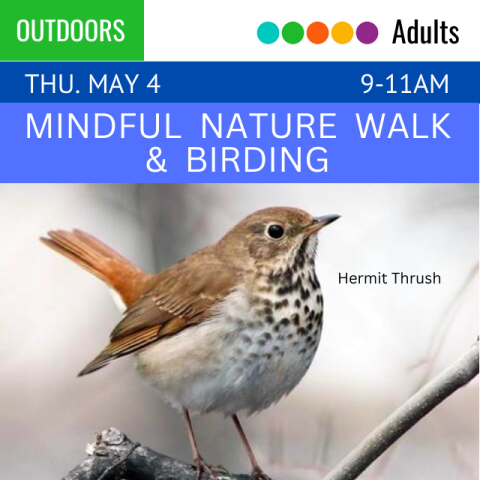 text reads Mindful Nature Walk and Birding. Below is a photo of a bird, identified as a  Hermit Thrush