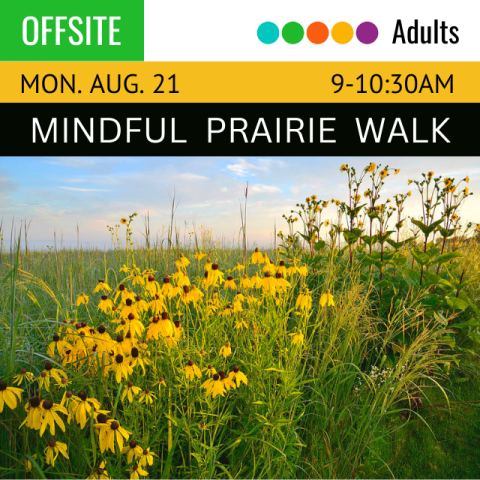 white text on black background reads Mindful Prairie Walk. below is a picture of various, yellow prairie flowers