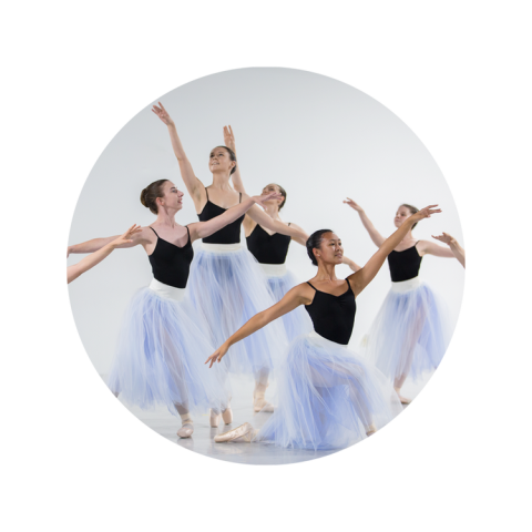 5 ballerinas in black leotards and white tutus in dance poses.