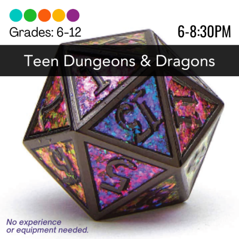 Image of colorful D20 die with program information