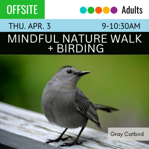 Offsite Thursday April 3 9-10:30am. Mindful Nature Walk and Birding