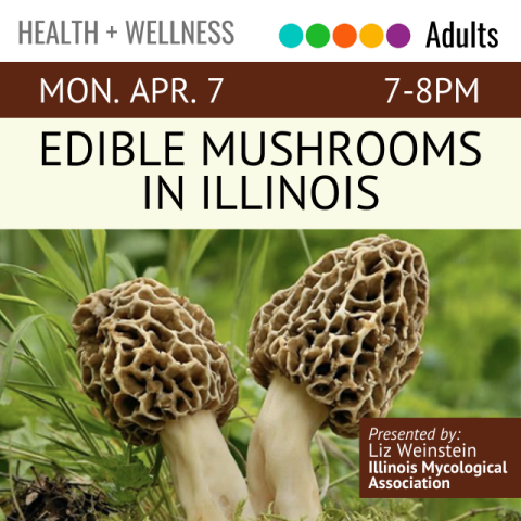 Health and Wellness. Monday, April 7. 7-8pm. Edible Mushrooms in Illinois. Presented by Liz Weinstein, Illinois Mycological Association