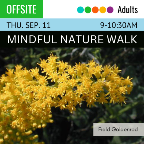 Offsite. Adults. Thu. Sep. 11.  9-10:30am. Mindful Nature Walk