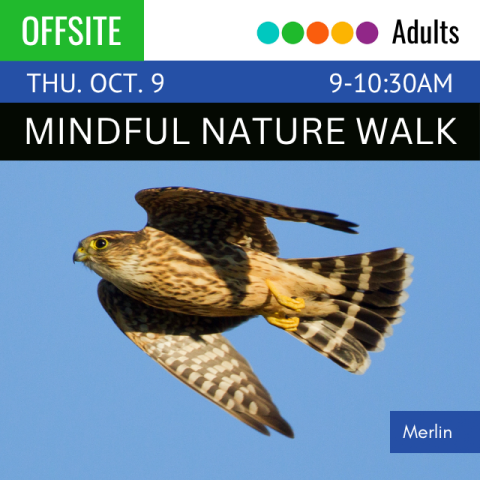 Offsite. Adults. Thu. Oct. 9 -10:30am. Mindful Nature Walk