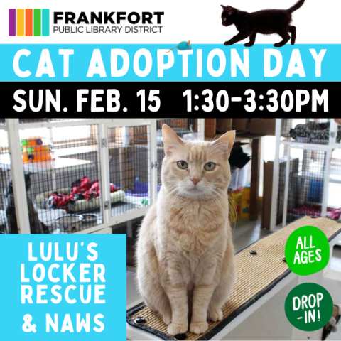 A cat is sitting on a cat scratcher tower surrounded by other cats.