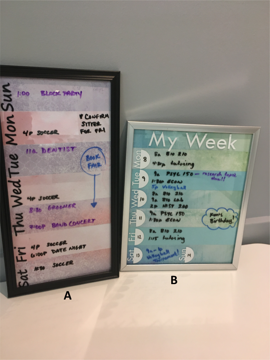 Image of Dry-Erase Schedule Board