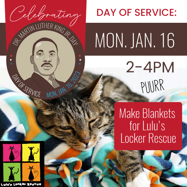 text reads Make Blankets for  Lulu's Locker Rescue. image of a cat relaxing on a blanket