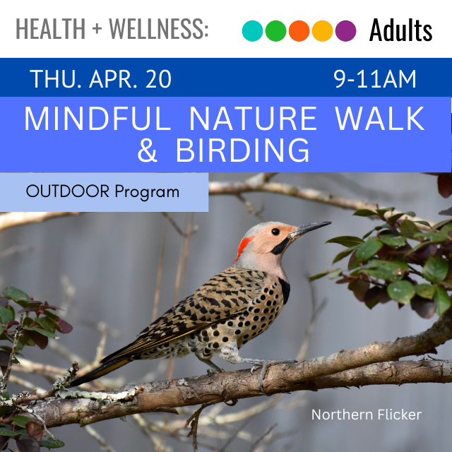 text read Mindful Nature Walk & Birding. below is an image of a bird on a tree branch. 