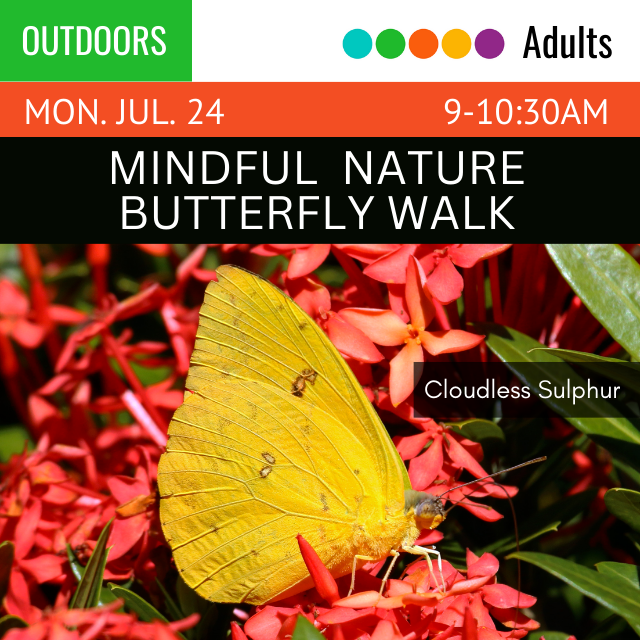 text reads Mindful Nature Walk. below is an image of a yellow butterfly on pink flowers. text next to the butterfly reads Cloudless Sulphur