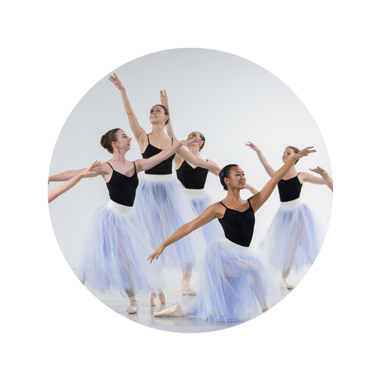 5 ballerinas in black leotards and white tutus in dance poses.