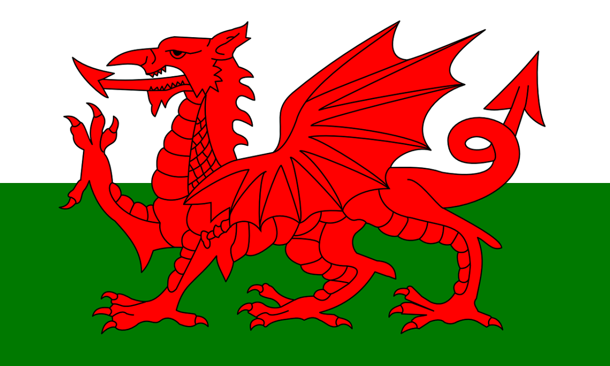 Welsh Flag - red dragon facing left on a background with a white bar on top and green on the bottom