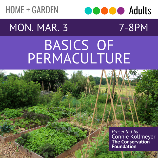 Monday March 3 7-8pm Basics of Permaculture. image of a garden