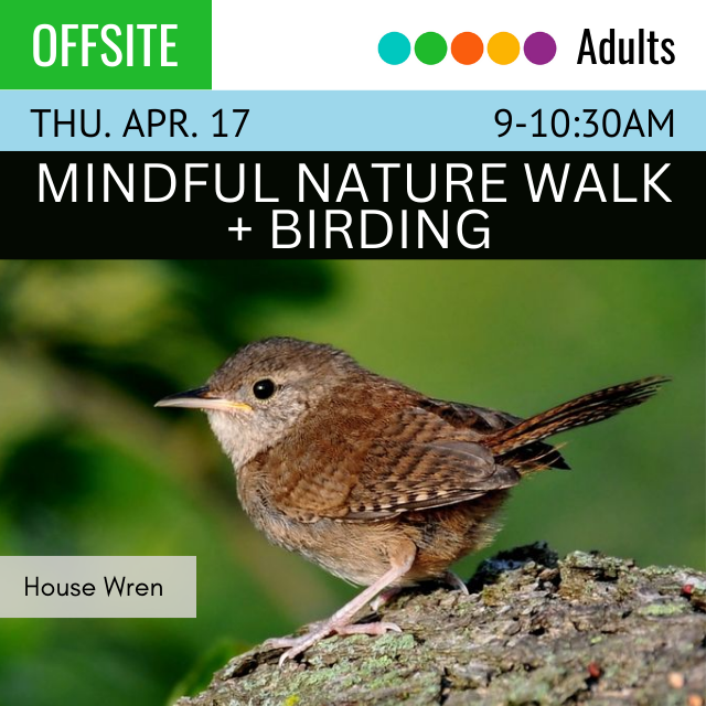 Offsite. Thursday, April 17. 9-10am. Mindful Nature Walk and Birding.